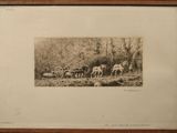 a picture of a picture of a horse drawn wagon
