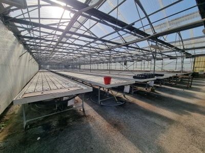 des rangées de tables et de bancs dans une grande serre, avec le ciel en arrière-plan