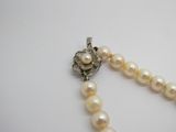 gros plan d'un collier de perles blanches sur une surface blanche