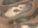a picture of a close up of a piece of art
