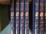 several books are lined up on a shelf in front of a couch