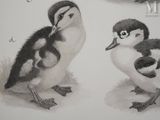 two birds that are sitting next to each other