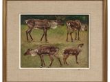 painting of a herd of deer standing on top of a grass covered field