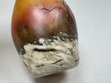 Photo 8/9 du lot