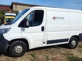 une camionnette blanche garée dans l'herbe