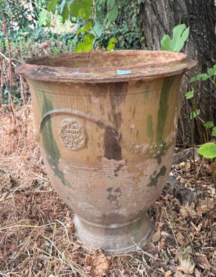 un grand pot brun posé au milieu de la forêt