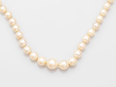 a white pearl necklace with a gold clasp on a white background