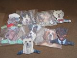 beaucoup de chiens assis par terre
