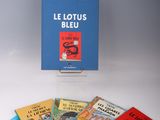 La petite boîte bleue contient une collection de livres pour enfants, dont un livre illustré représentant un chat et un