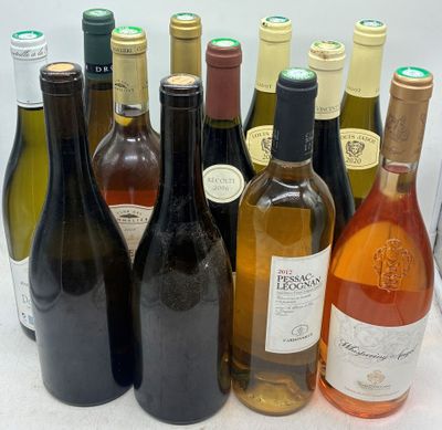 Lot de 12 bouteilles, comprenant : - Photo 1