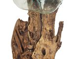 un vase en verre posé sur une souche d'arbre