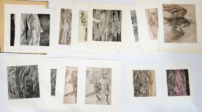 many different types of drawings on a white surface