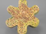 an image of a ceramic object with holes in the middle