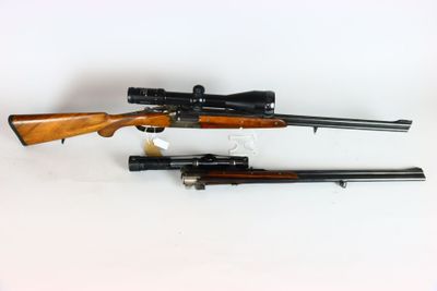 Deux fusils sont représentés sur une surface blanche : l'un est un fusil et l'autre est un fusil.