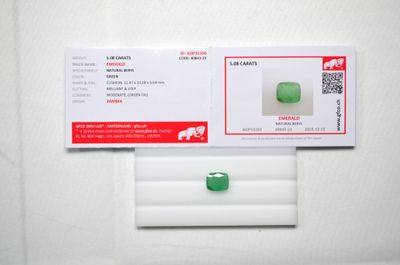 une photo d'une fausse pilule verte sur fond blanc