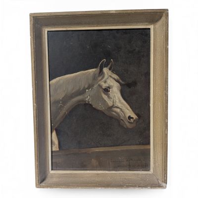 portrait of a white horse in a wooden frame on a white background