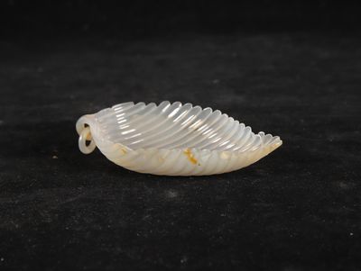 a close up of a shell shaped object on a black surface