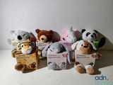 Plusieurs peluches sont alignées en rang sur une surface blanche