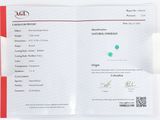 un gros plan sur une feuille sur laquelle figure un certificat