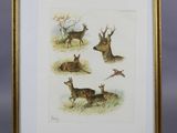 an image of a picture of a group of deer laying in the grass