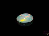 a close up of a white oplite on a black background