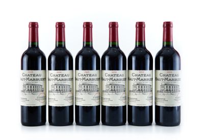 six bouteilles de vin rouge alignées sur une surface blanche