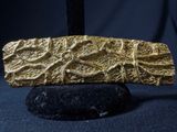 a close up of a piece of gold on a black rock