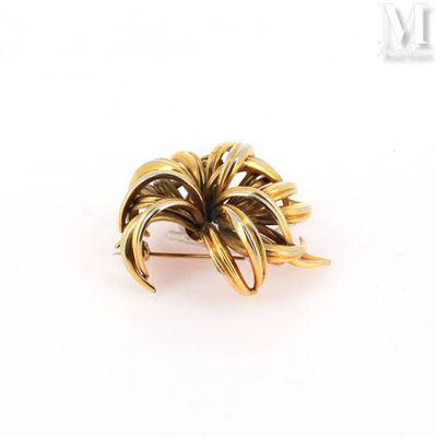 an image of a close up of a brooch with a palm tree on it