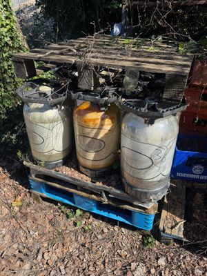 37 fûts KEYKEG, 19 fûts BREWDOG ( en l'état d'abandon)