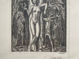 an image of a black and white drawing of a woman and a deer