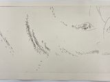 l'image d'un dessin du visage d'une femme sur un morceau de papier