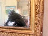 a black and white cat sitting in front of a mirror