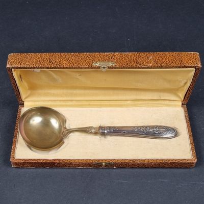 une cuillère en argent dans une boîte contenant une cuillère