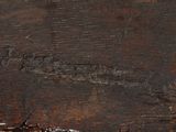 an image of a close up of a piece of wood with a bird on it