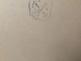 drawing of a skull on a piece of cardboard on a table