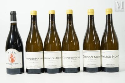 six bouteilles de vin sont alignées sur une surface blanche
