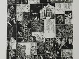 an image of a black and white drawing of a collage of images