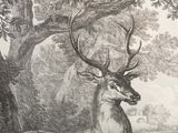 a drawing of a deer that is standing in the woods