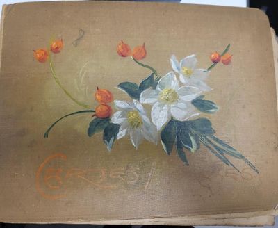 Dans un autre album, plus de 500 cartes à regarder