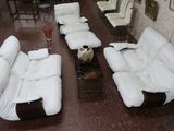 plusieurs canapés et fauteuils blancs dans une pièce où sont accrochés des tableaux aux murs