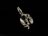a close up of a silver pendant on a black background
