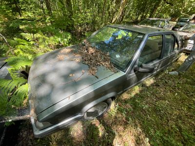 une voiture abandonnée dans les bois, recouverte de feuilles