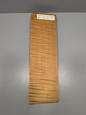 Fond en érable pour violon, ~39,5cm