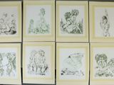 several framed drawings of animals and birds on a wall