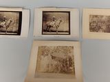 quatre photographies anciennes représentant des personnes à cheval, accrochées à un mur bleu