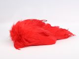 a red feather that is laying on a white surface