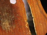 a close up of a violin with a hole in the back