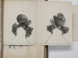 two drawings of hats on top of an open book