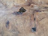 an image of a piece of wood with a hole in it