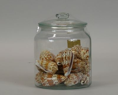 a glass jar filled with shells on a white surface